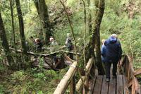 Wanderung im Huilo Huilo Reservat