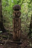 Mapuche-Figuren im Huilo Huilo Reservat