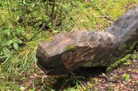 Mapuche-Figuren im Huilo Huilo Reservat