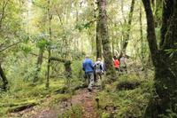 Wanderung im Huilo Huilo Reservat