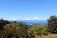 Blick auf den Vulkan Osorno