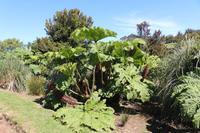 Gartenanlage des Restaurants Vogelscheuche