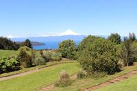 Gartenanlage des Restaurants Vogelscheuche