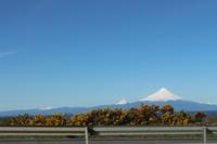 Blick auf den Vulkan Osorno
