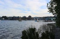 Blick auf Puerto Varas