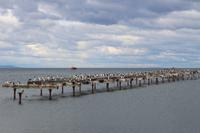 Blick auf die Magellan-Straße