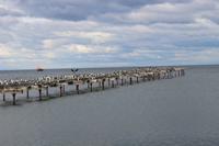 Blick auf die Magellan-Straße