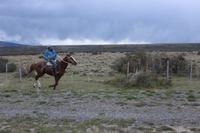 Goucho im Torres del Paine