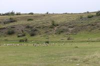 Torres del Paine Nationalpark