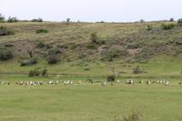 Torres del Paine Nationalpark
