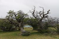 Torres del Paine Nationalpark