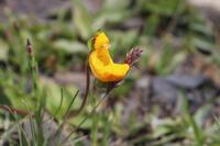 Torres del Paine Nationalpark