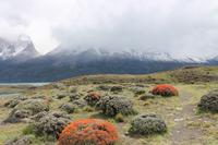 Torres del Paine Nationalpark