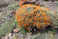 Torres del Paine Nationalpark