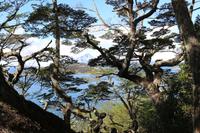 Feuerland Nationalpark