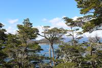 Feuerland Nationalpark