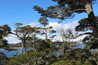 Feuerland Nationalpark