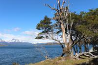 Feuerland Nationalpark