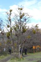 Feuerland Nationalpark