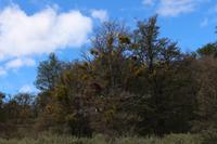 Feuerland Nationalpark