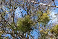 Feuerland Nationalpark