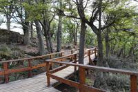 Lapataia-Bucht - Feuerland Nationalpark