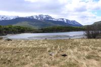 Lapataia-Bucht im Feuerland Nationalpark