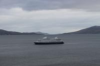 Blick auf die Stella Australis