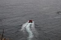 Landgang mit Zodiacs