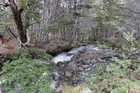 Wanderung in der Wulaia-Bucht