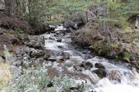 Wanderung in der Wulaia-Bucht