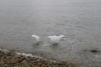 Landgang am Aguila Gletscher