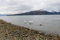 Landgang am Aguila Gletscher