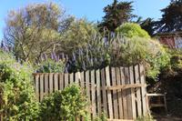 Museum Pablo Neruda in Isla Negra
