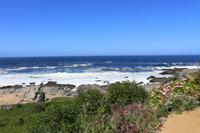 Museum Pablo Neruda in Isla Negra