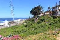 Museum Pablo Neruda in Isla Negra