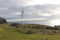 Osterinsel - Blick vom Hotel