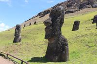 Steinbruch Rano Raraku