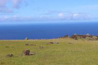 Zeremonialstätte Orongo