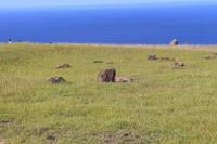 Zeremonialstätte Orongo