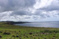 Osterinsel - Ana Kai Tangata