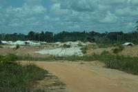 Goldgräber suriname