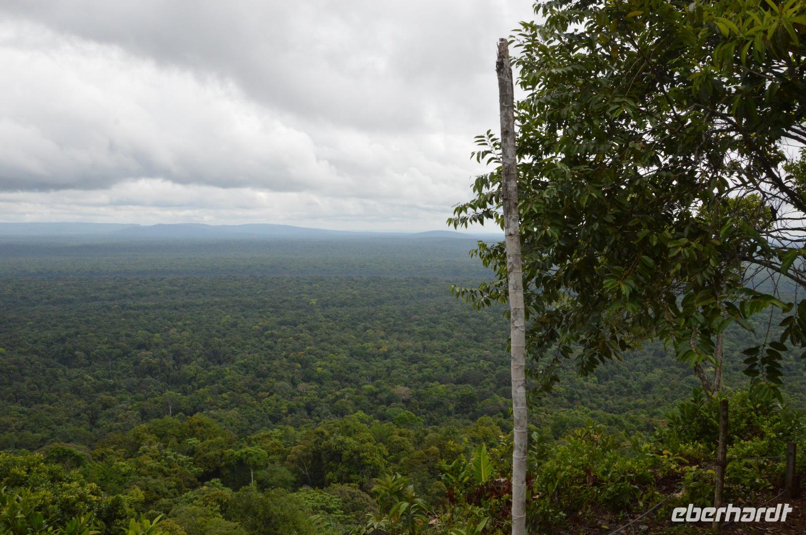 Iwokrama turtle mountain