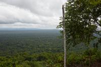 Iwokrama turtle mountain