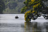 Suriname River (2)
