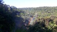 Iguazú-Nationalpark (Argentinien)