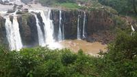 Iguazú-Nationalpark (Brasilien)