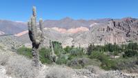 Humahuaca-Schlucht - Pucará de Tilcara