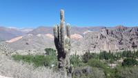 Humahuaca-Schlucht - Pucará de Tilcara