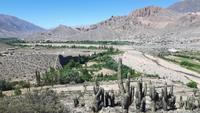 Humahuaca-Schlucht - Pucará de Tilcara